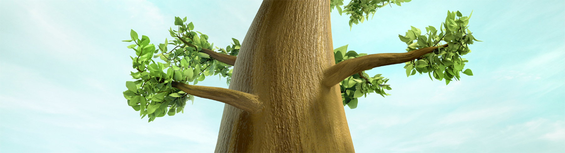 LIVMARLI ambassador background image